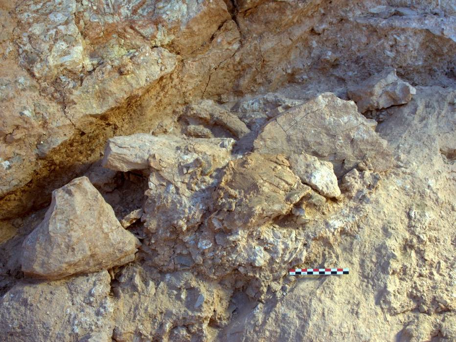 Homo sapiens de 300 mil anos