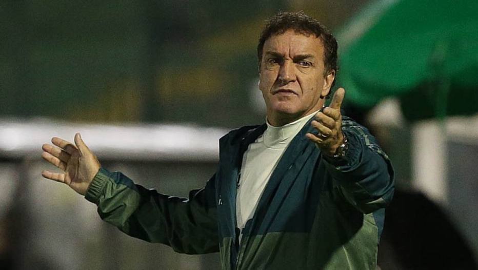 Cuca torce para Palmeiras recuperar pontos perdidos na sequência do Brasileirão