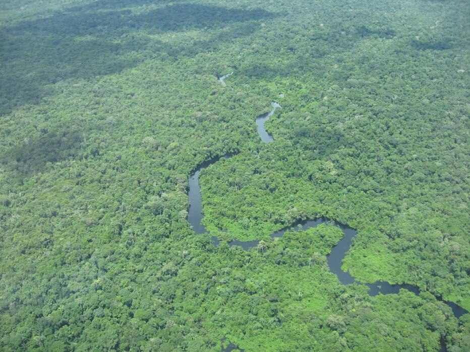 Depois da Noruega, Alemanha também deve cortar verba do Fundo da Amazônia