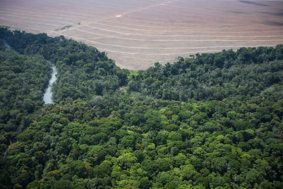 Desmatamento Do Cerrado Sobe 13 No Ano E Tem O Maior Valor Desde 2015