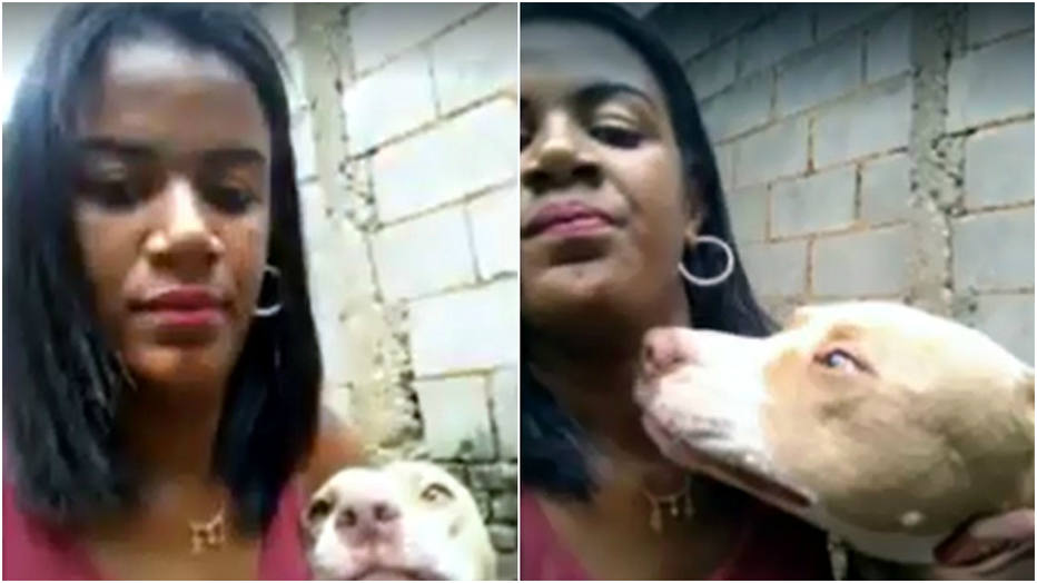 Jovem tira selfie com pitbull e é atacada pelo animal