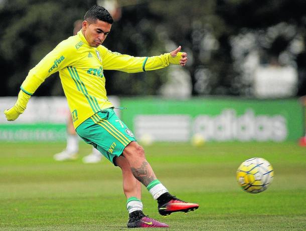 Gramado da Arena e Sport desafiam o Palmeiras no Campeonato Brasileiro