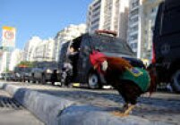 No Rio de Janeiro, a manifestação contra o impeachment da presidente Dilma acontece na praia de Copacabana, na Zona Sul. Vale até levar galinha de crista vermelha para torcer pela vitória da base aliada na câmara