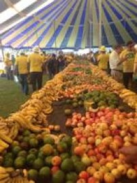 A concentração dos apoiadores do impeachment teve mesa de frutas para alimentação matinal dos manifestantes