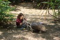 Camila Salles interpreta a trisavó Cora quando ela ainda era chamada de Aninha, durante a infância na cidade goiana