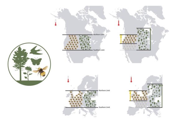 Infográfico mostra como o aquecimento global levou as abelhas a perderem espaço, em relação a outras espécies, nas regiões meridionais da América do Norte e Europa: elas já foram "espremidas" 300 quilômetros para o norte