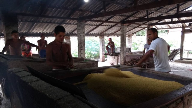 Edivaldo Ugarte Homens de uma mesma família transformam mandioca em farinha