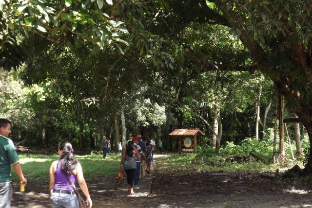 Acervo da unidade Trilha Terra Rica Floresta Nacional do Tapajós