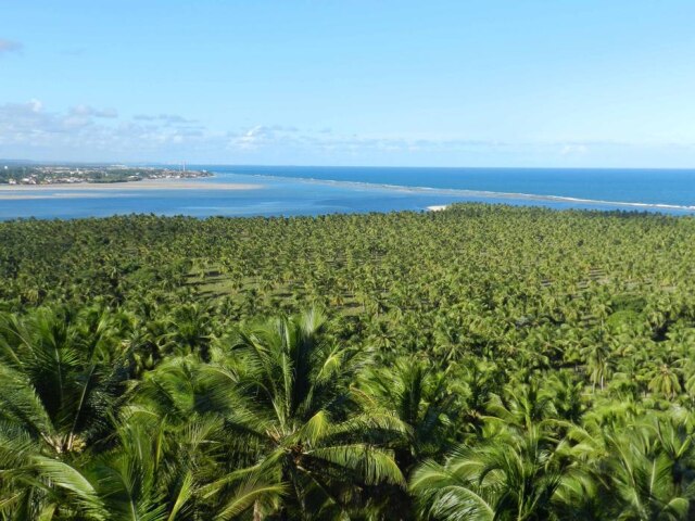 Adriana Moreira/Estadão Vista do mirante da Praia do Gunga