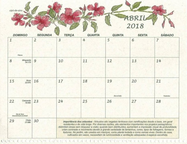 São Paulo Garden Club Cada mês tem suas pecualiridades no cuidado com as flores