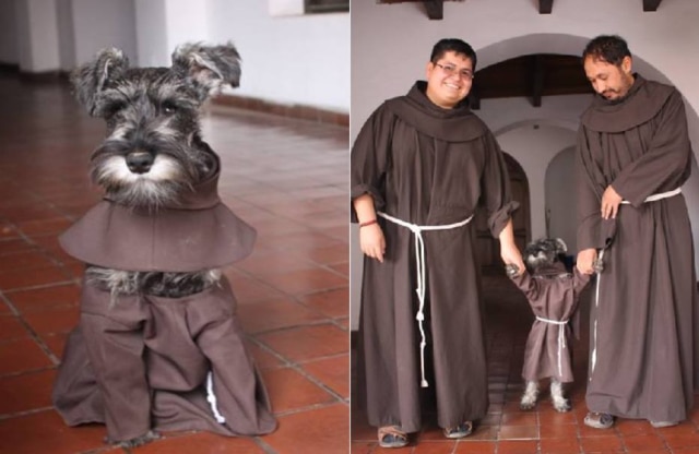 Kasper Mariusz Kapron Ofm Um mosteiro da cidade de Cochabamba, na Bolívia, ganhou mais um religioso: Carmelo, um cachorro da raça Schnauzer que tem feito bastante sucesso nas redes sociais.