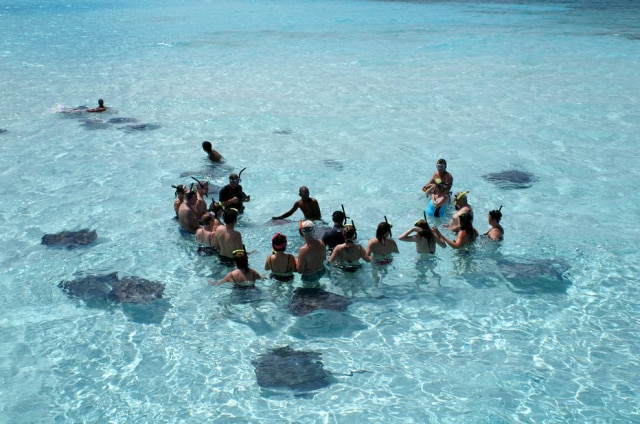Departamento de Turismo Ilhas Cayman/Divulgação Encontro com as arraias em Stingray