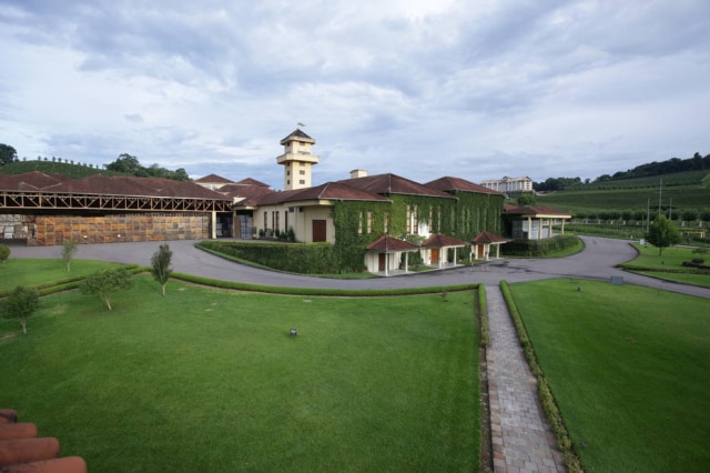 Cesar Cuninghant/Estadão Visita à vinícola Miolo em Bento Gonçalves