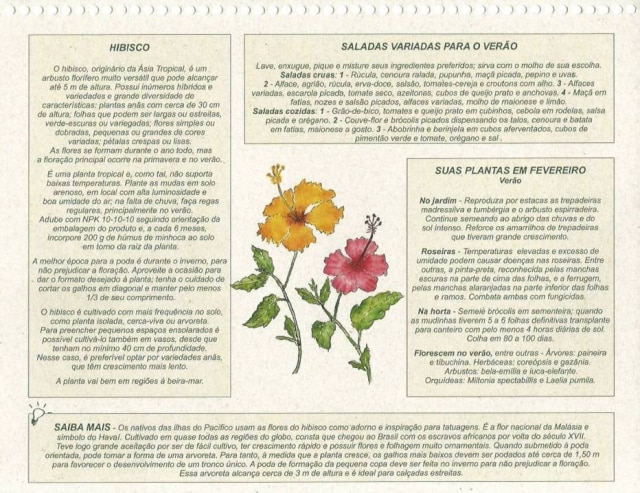 São Paulo Garden Club Peça traz dicas de paisagismo, receitas e informações sobre as espécias apresentadas, como os hibiscos, azaleias, ipês e a alamandas