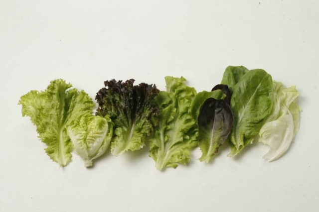 Variedades do vegetal