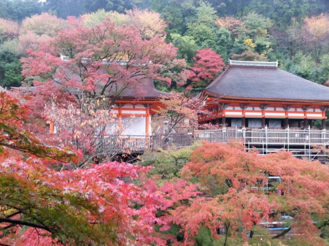 Adriana Moreira/Estadão O colorido das árvores na área do Kiyomizu-dera, no histórico bairro de Higashiyama, em Kyoto
