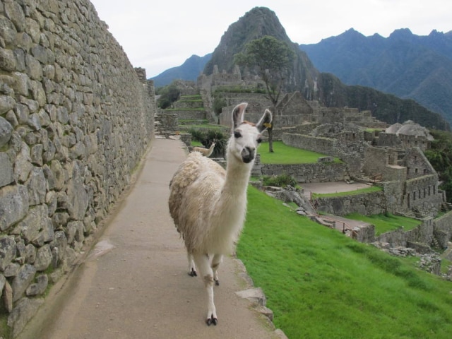 Felipe Mortara/Estadão Aulas de espanhol em Cuzco para ficar pertinho de Machu Picchu