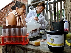 ESTADOS SE PREPARAM PARA O VERÃO