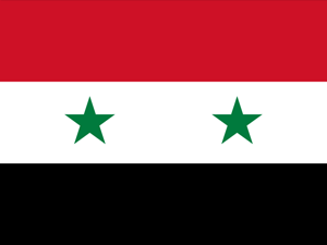 O presidente Bashar al-Assad está no cargo desde 2000, quando o pai, Hafez, morreu - Arte/estadão.com.br O presidente Bashar al-Assad está no cargo desde 2000, quando o pai, Hafez, morreu - Arte/estadão.com.br