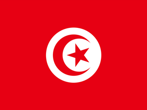 A Tunísia sem Ben Ali