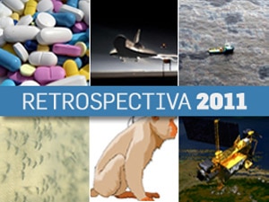 Veja quais foram os fatos mais importantes de 2011