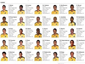 Jogadores e campanha de 2011