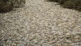 Lama preta que cobriu o Rio Tietê já alcança represa de Barra Bonita