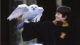 Cientistas usam Harry Potter para estudar como cérebro processa leitura