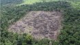 Desmatamento avança 467% na Amazônia