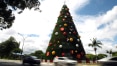 Árvore de Natal do Ibirapuera 'encolhe'