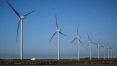 Empresas apostam em energia renovável