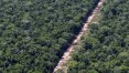 Projeto pioneiro vai pagar para produtores rurais da Amazônia não desmatarem