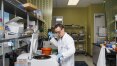 Zika é oportunidade de negócio para empresa de biotecnologia