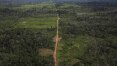 Ibama publica edital para comprar novo sistema de monitoramento da Amazônia