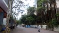 Projeto de boulevard prevê mercado de orgânicos e 'traffic calming’ na região da Avenida Paulista