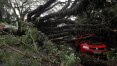 Tempestade mata dois na Grande SP em dia de fenômeno raro