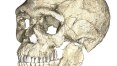 Encontrado no Marrocos, o mais antigo fóssil humano tem 300 mil anos