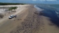 Sergipe pede bloqueio em conta da União por manchas de óleo em praias