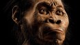 Nova espécie do gênero humano é descoberta na África do Sul