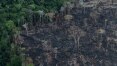 Por falta de verba, Salles vai paralisar 100% das ações de combate ao desmatamento na Amazônia