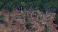 Amazônia está perto de ponto irreversível e pode virar deserto, dizem cientistas