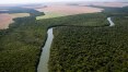 Alemanha retém doação de R$ 151 milhões para Fundo Amazônia