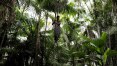 Biogás pode ser chave para bioeconomia na Amazônia, aponta estudo