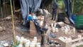 Polícia Ambiental fecha fábrica clandestina de palmito em Juquiá
