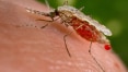 Cinco pessoas são diagnosticadas com malária em Petrópolis (RJ)