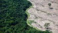 Alertas do Inpe indicam alta de 40% em desmate na Amazônia; governo contesta