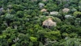 Pesquisadora sofreu com depressão ao constatar que Amazônia emite mais carbono do que absorve