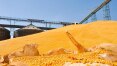 Produção de grãos deve crescer até 15,6% na safra 2016/17