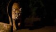 Zoológico de São Paulo abre para visitação noturna nas férias de julho