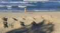 Praia em São Sebastião ganha cruzes em protesto contra 'feriadão' em SP